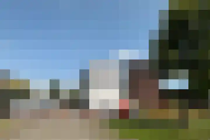 Coenecoop 146 Waddinxveen thumbnail 14