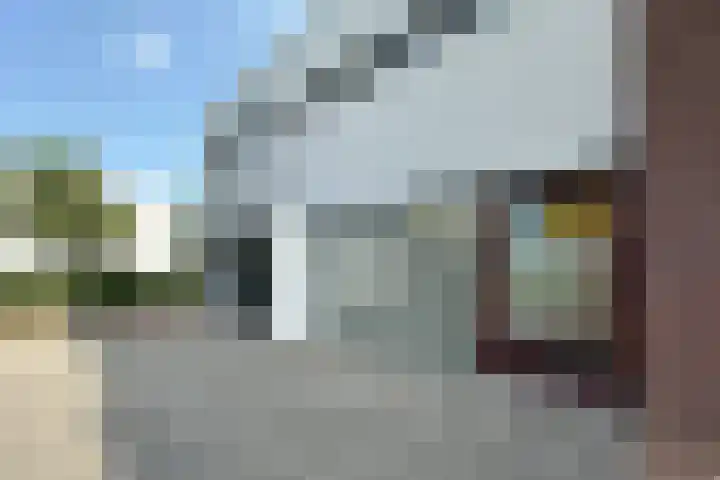 Coenecoop 146 Waddinxveen thumbnail 15