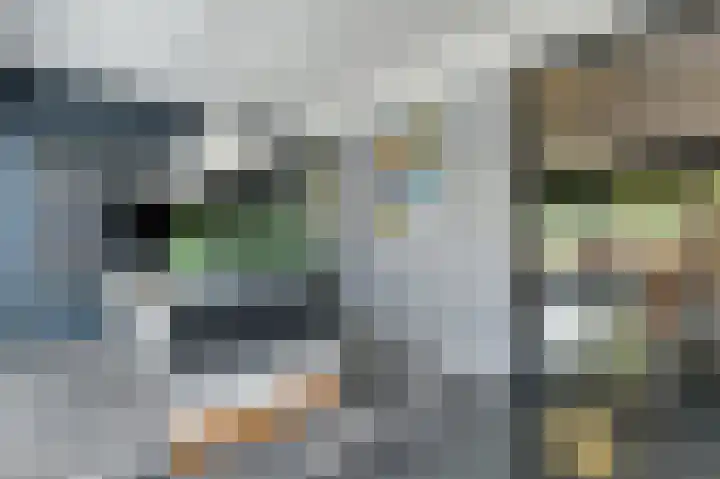Coenecoop 146 Waddinxveen thumbnail 17