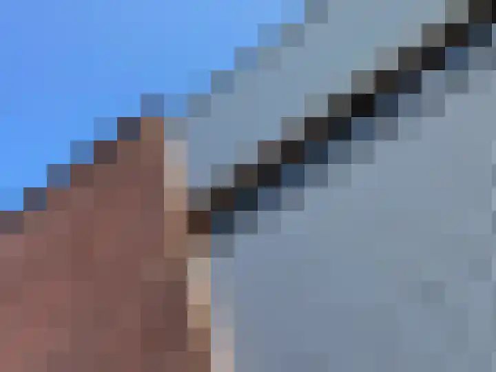 Coenecoop 146 Waddinxveen thumbnail 6