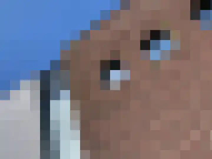 Coenecoop 146 Waddinxveen thumbnail 7