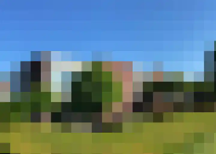 Coenecoop 146 Waddinxveen thumbnail 8