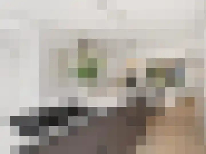 Coenensparkstraat 107 Zutphen thumbnail 17