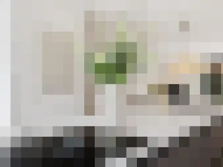 Coenensparkstraat 107 Zutphen thumbnail 18