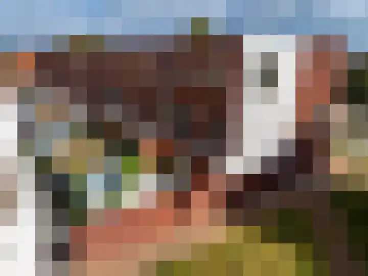 Coenensparkstraat 107 Zutphen thumbnail 49