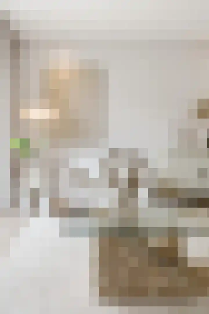 Coenensparkstraat 107 Zutphen thumbnail 8
