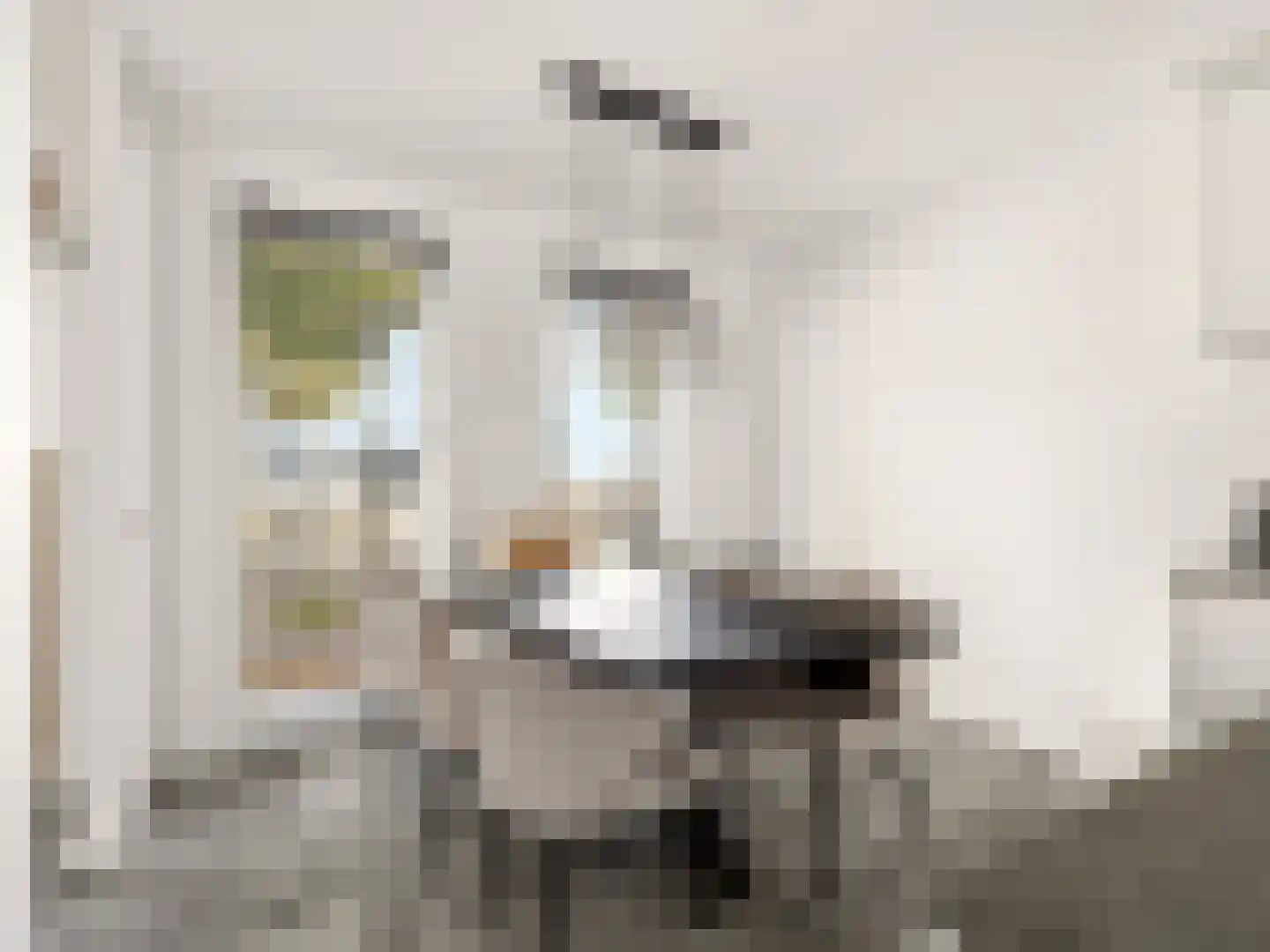 Coenensparkstraat 115 Zutphen thumbnail 11