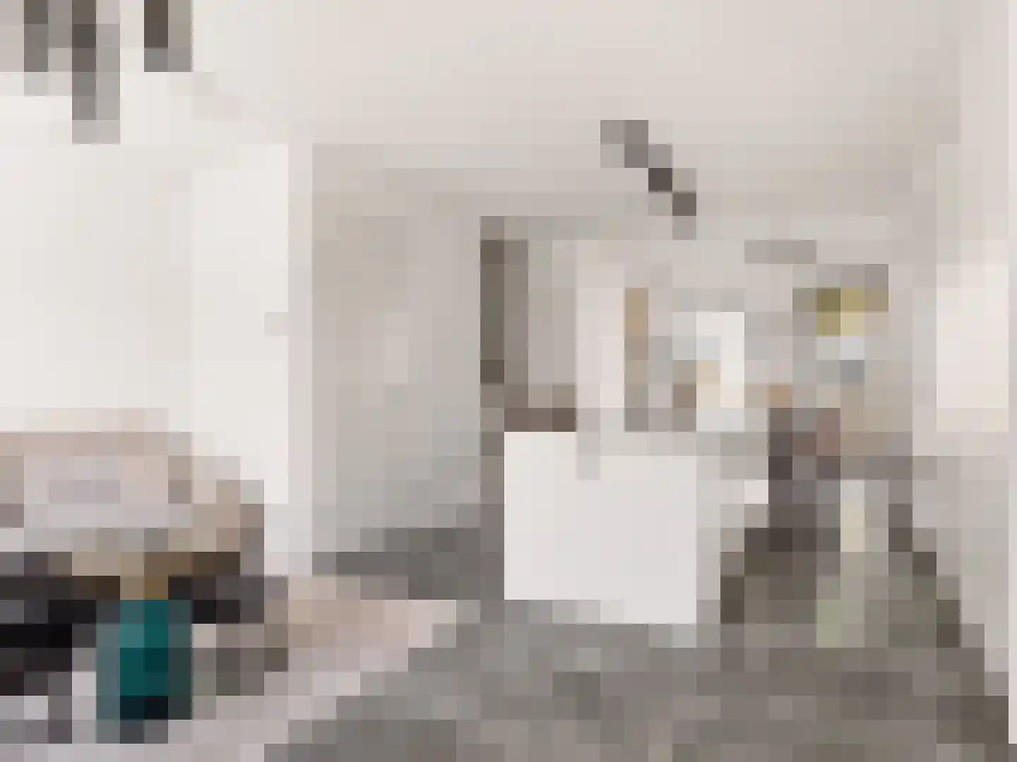 Coenensparkstraat 115 Zutphen thumbnail 6