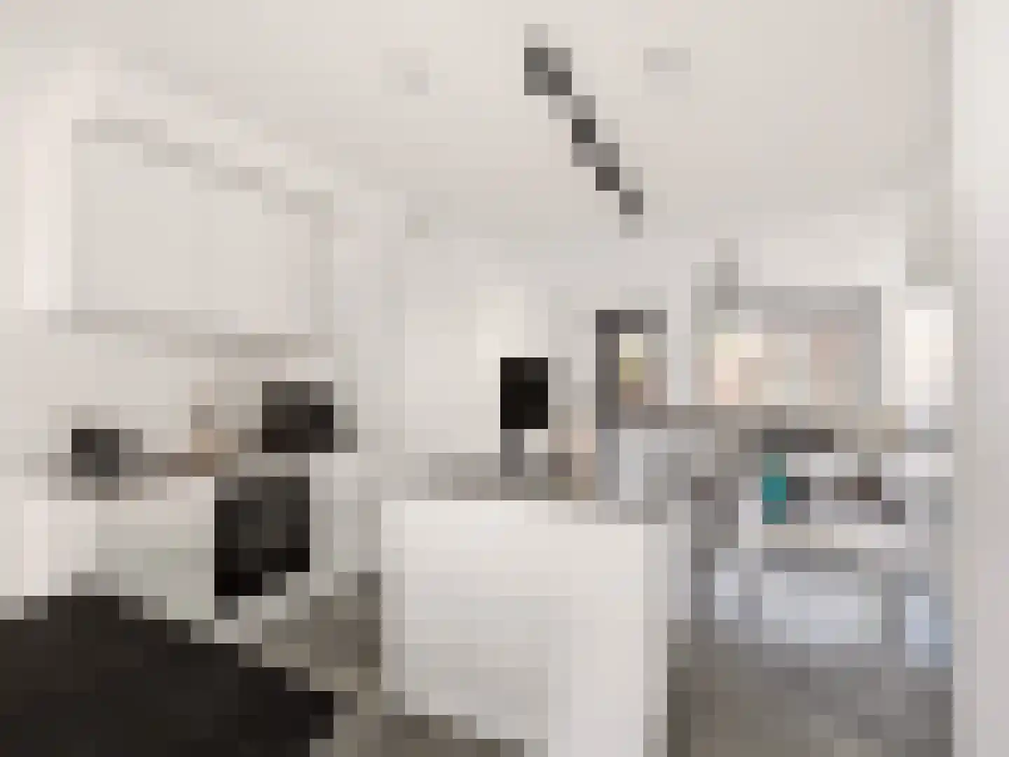 Coenensparkstraat 115 Zutphen thumbnail 7