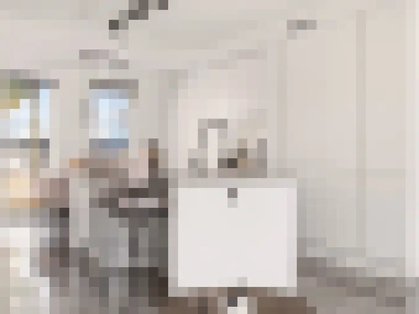 Coenensparkstraat 115 Zutphen thumbnail 8