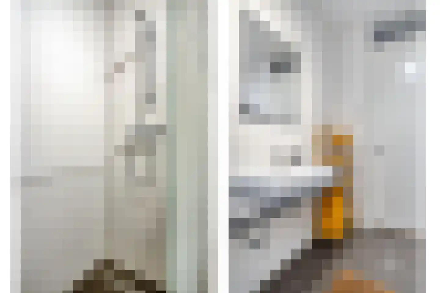Coenensparkstraat 21 Zutphen thumbnail 18