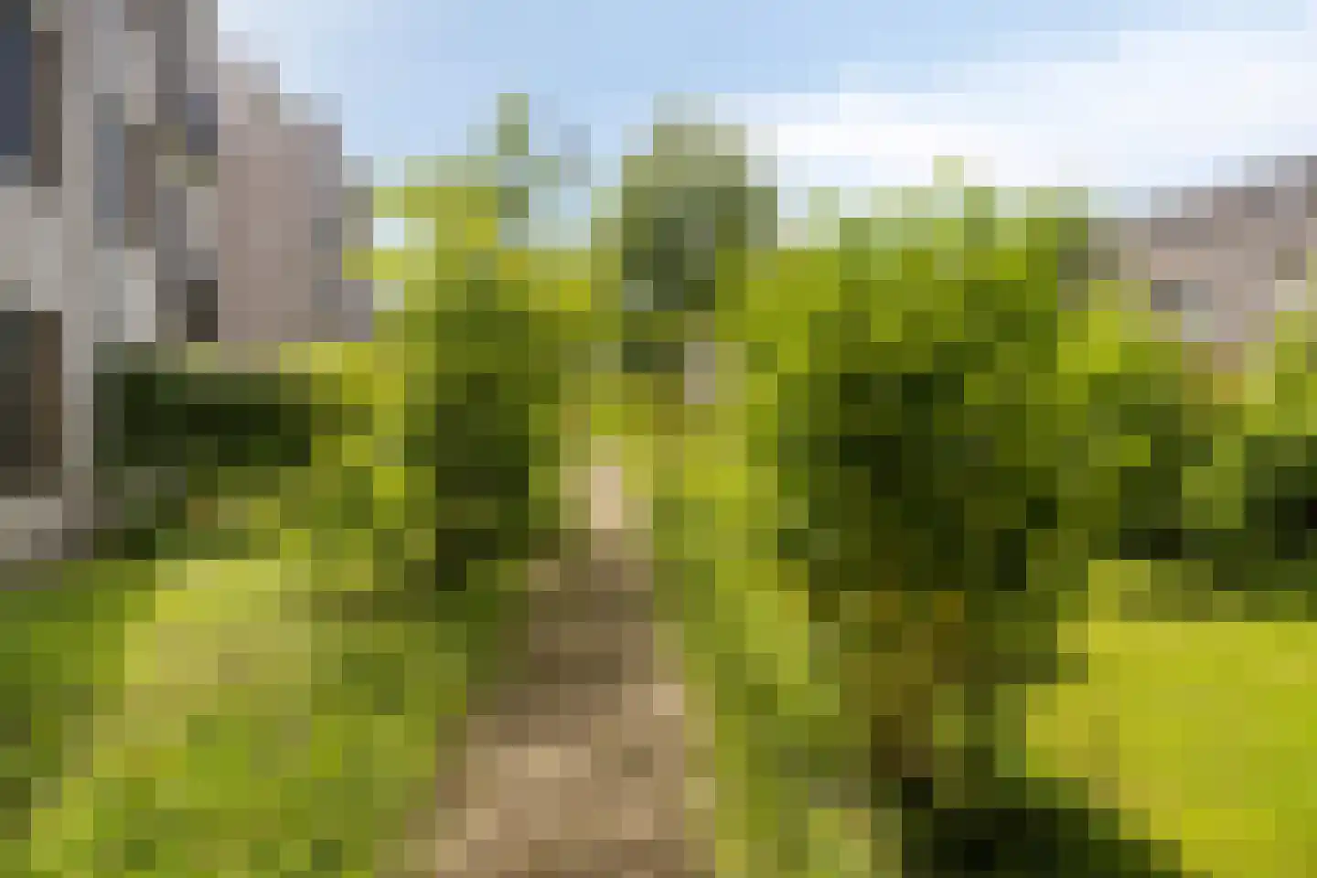 Coenensparkstraat 21 Zutphen thumbnail 25