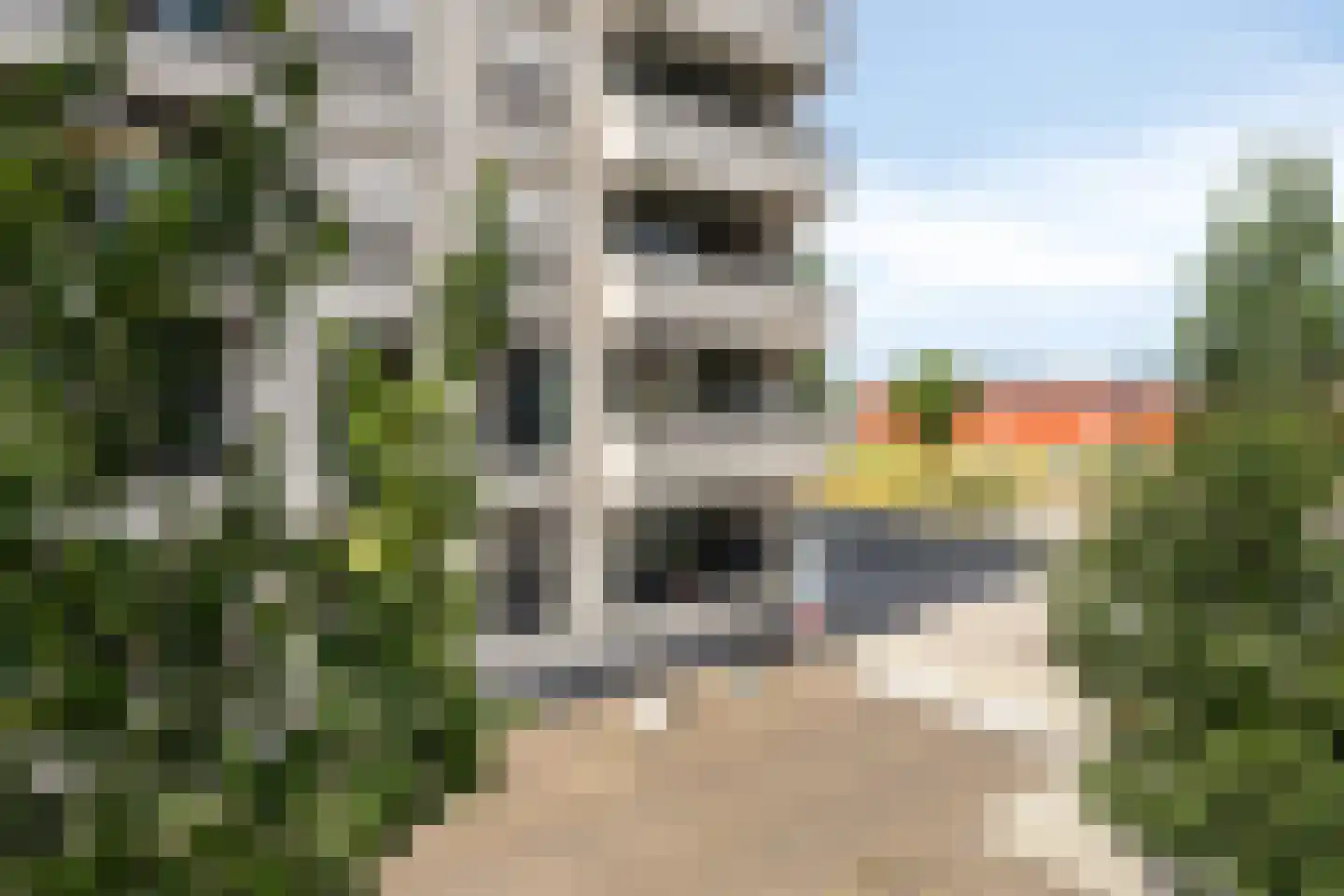 Coenensparkstraat 21 Zutphen thumbnail 29