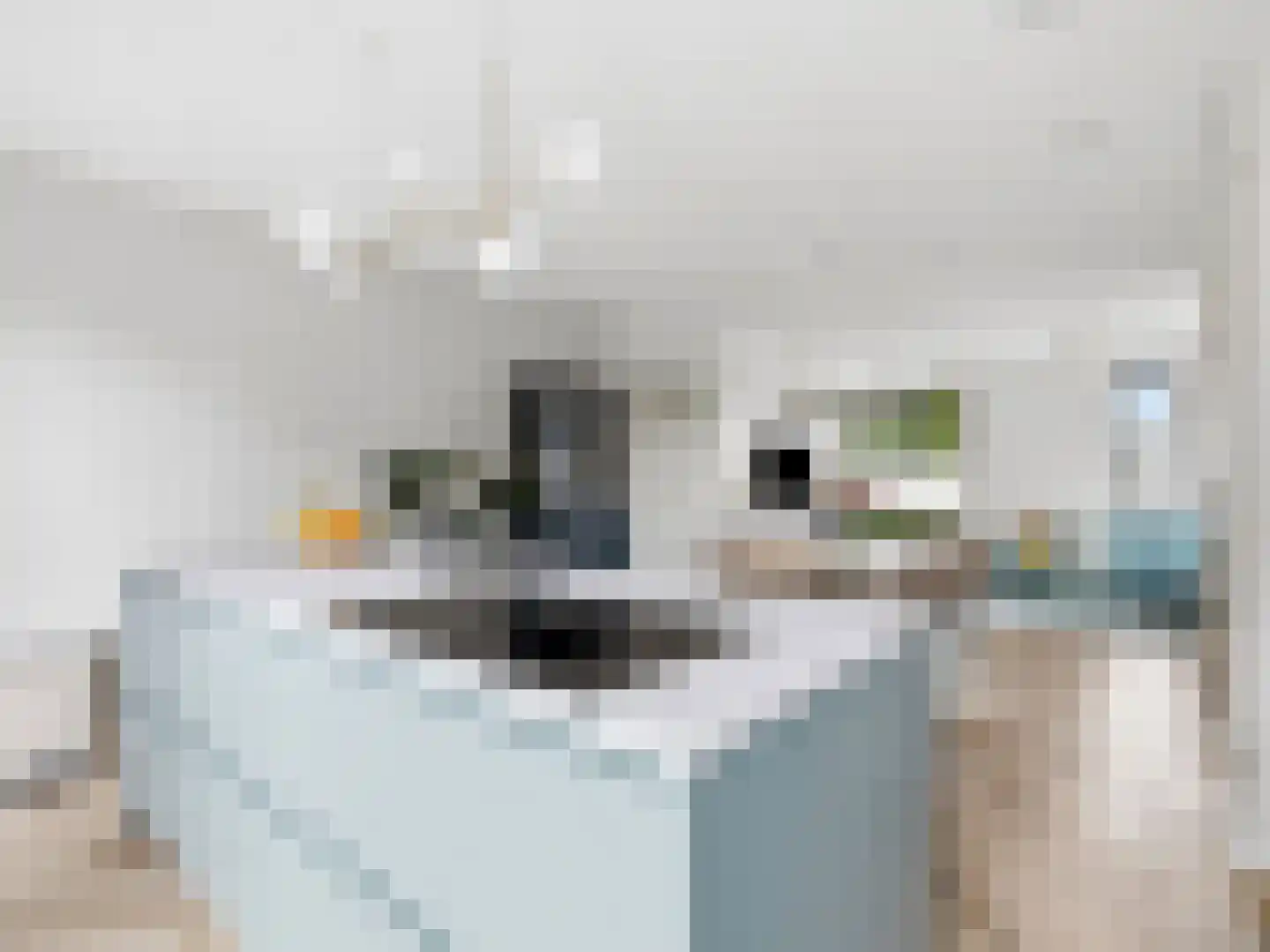 Coenensparkstraat 91 Zutphen thumbnail 14