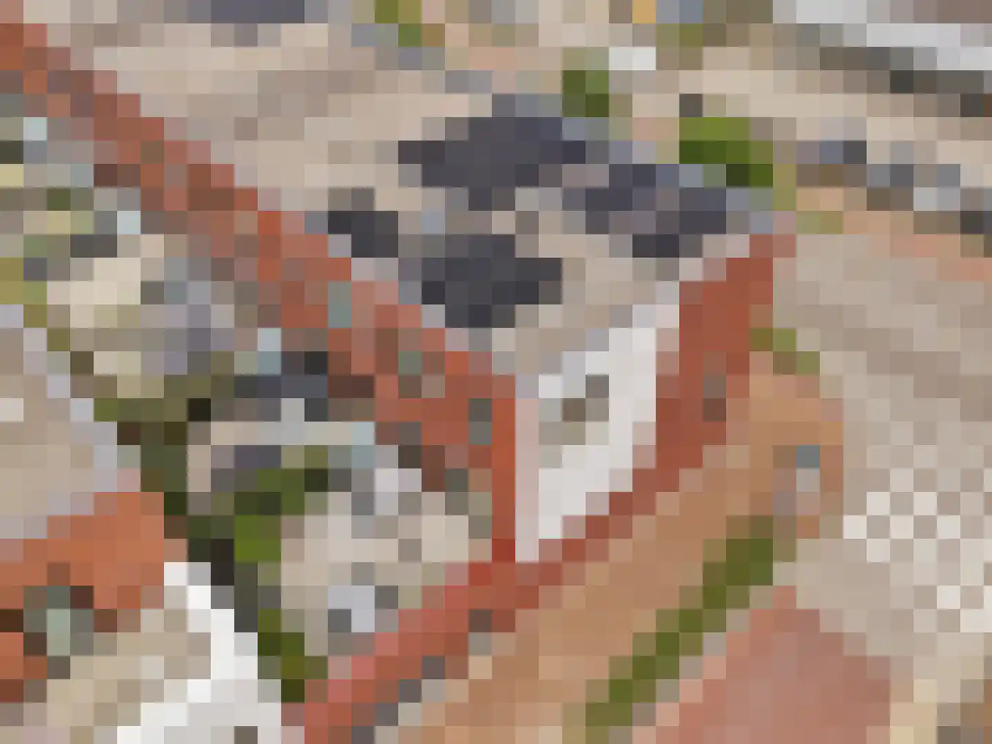 Coenensparkstraat 91 Zutphen thumbnail 34