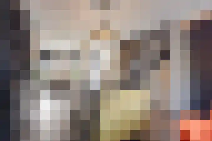 Coenensparkstraat 99 Zutphen thumbnail 13