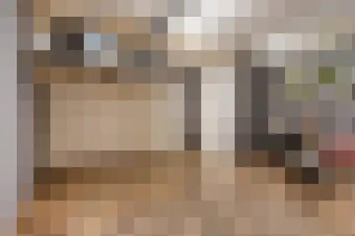 Coenensparkstraat 99 Zutphen thumbnail 35