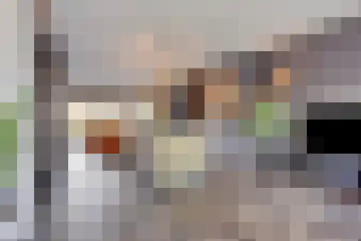 Coenensparkstraat 99 Zutphen thumbnail 4