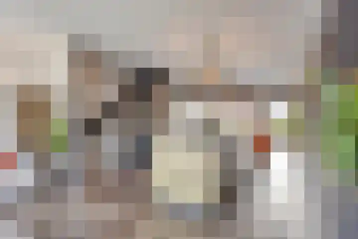 Coenensparkstraat 99 Zutphen thumbnail 5