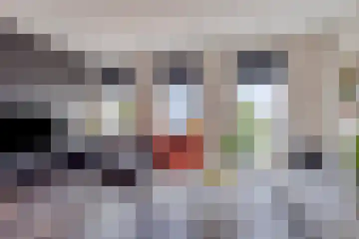 Coenensparkstraat 99 Zutphen thumbnail 7