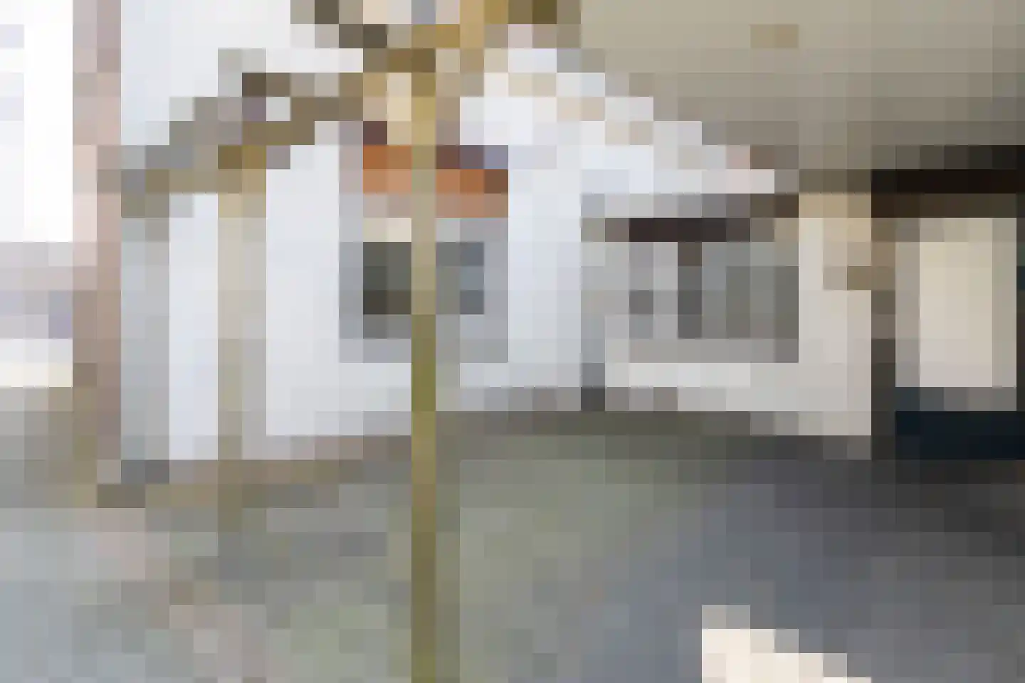 Coenraad Abelsstraat 14 Weert thumbnail 8