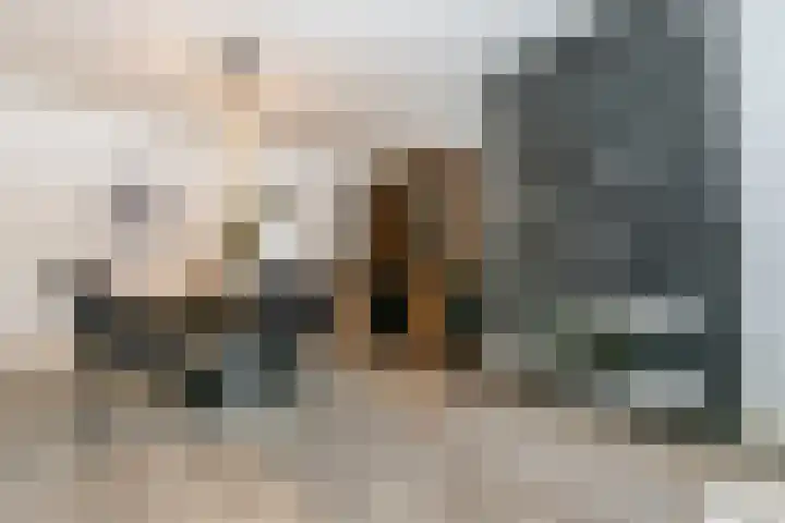 Coenraad Abelsstraat 4 Weert thumbnail 5