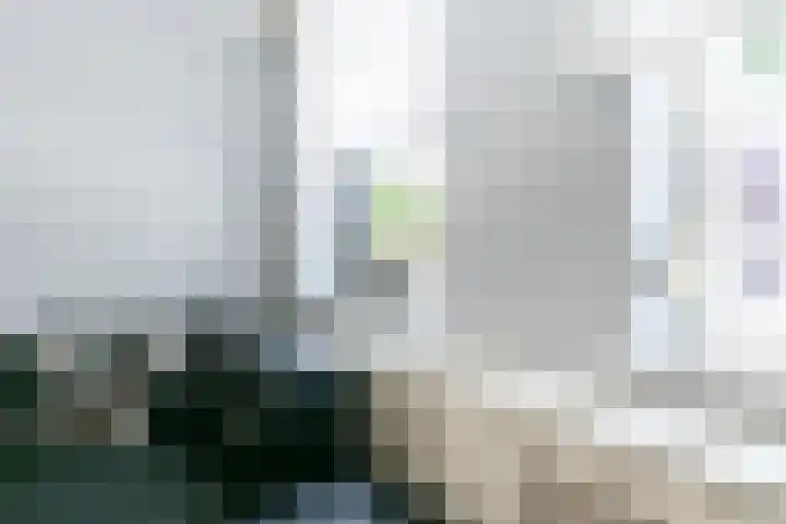 Coenraad Abelsstraat 4 Weert thumbnail 9