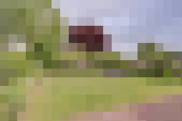 Coentjesweg 21 Oud-Vossemeer thumbnail 33