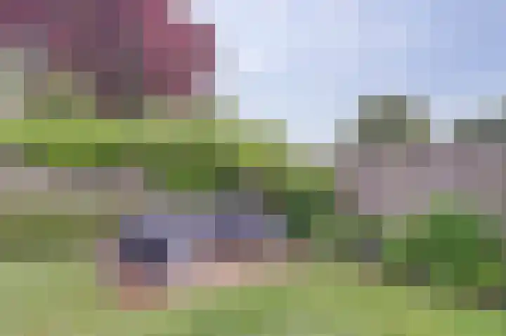 Coentjesweg 21 Oud-Vossemeer thumbnail 36