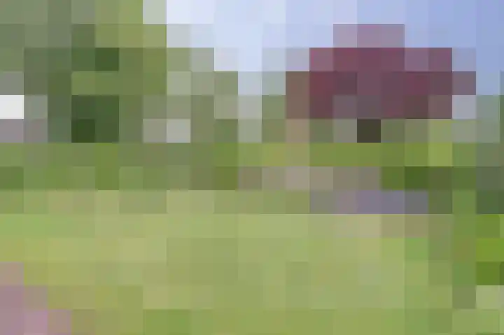 Coentjesweg 21 Oud-Vossemeer thumbnail 37