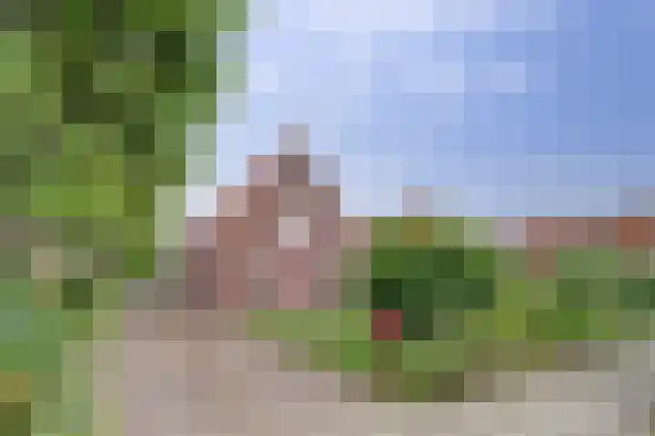 Coentjesweg 21 Oud-Vossemeer thumbnail 4