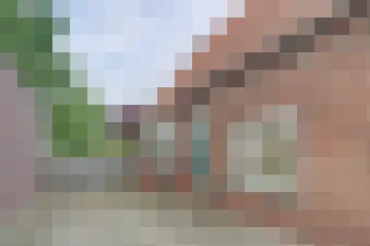 Coentjesweg 21 Oud-Vossemeer thumbnail 6