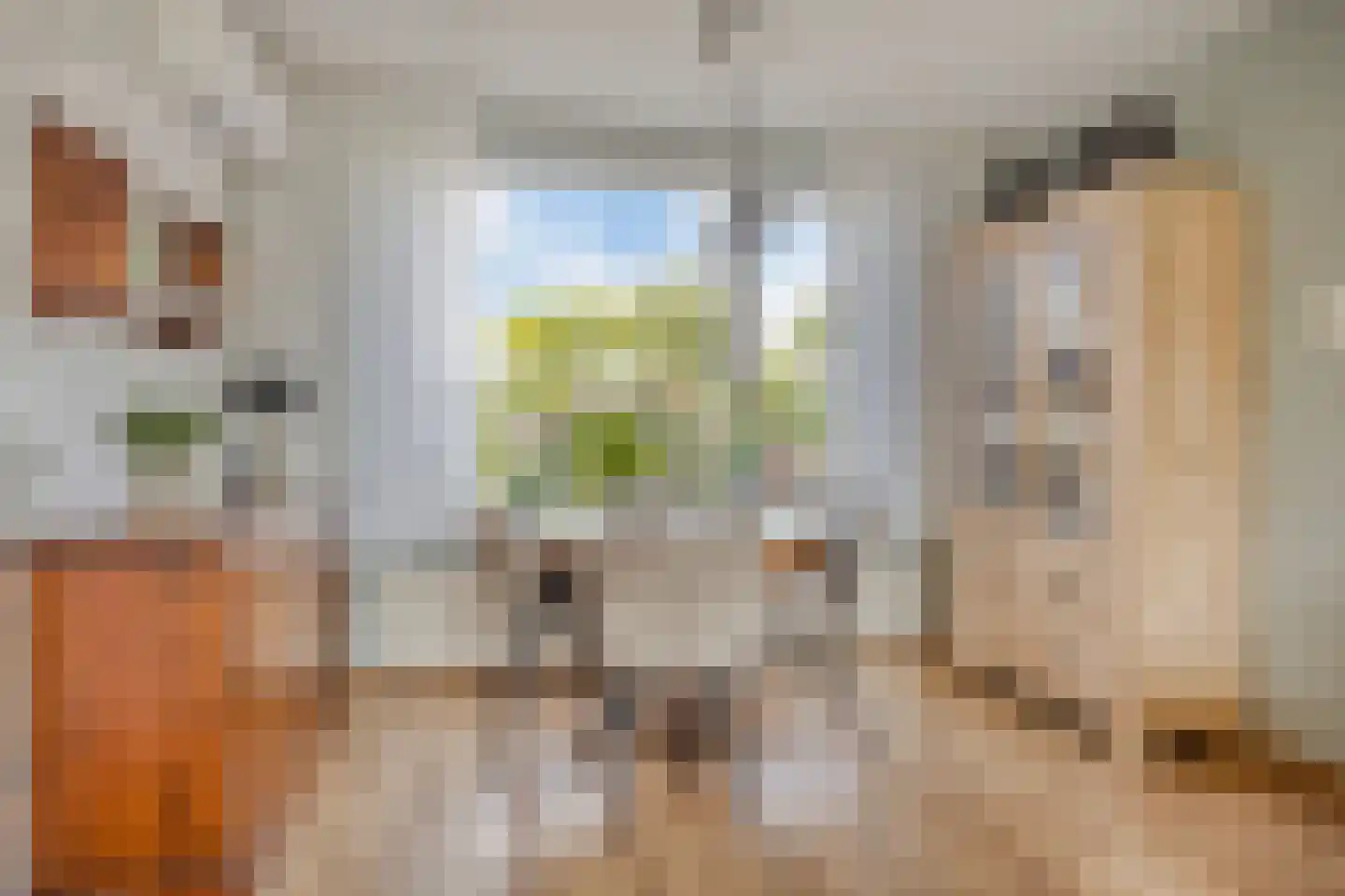 Coentjesweg 7 Oud-Vossemeer thumbnail 11