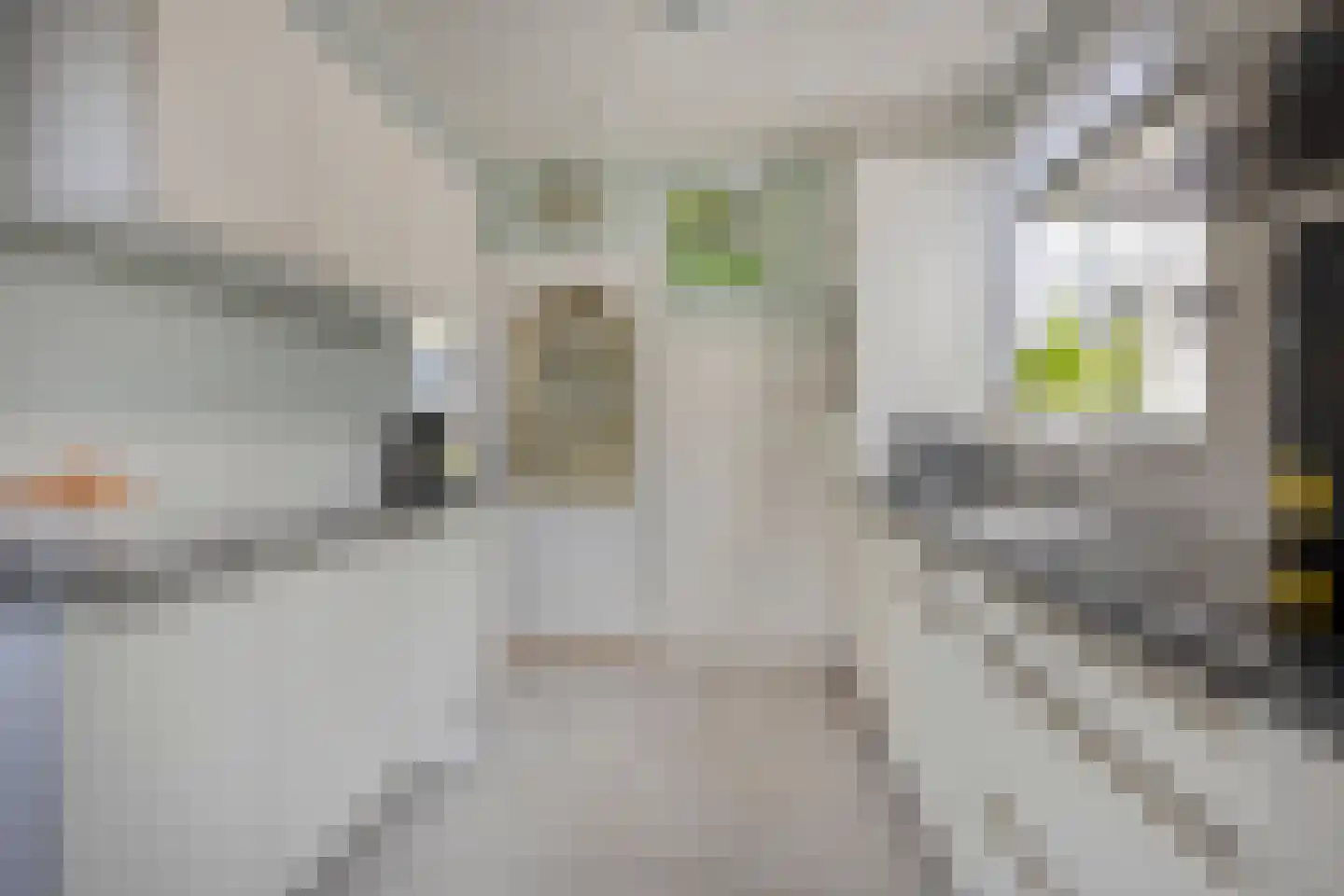 Coentjesweg 7 Oud-Vossemeer thumbnail 12