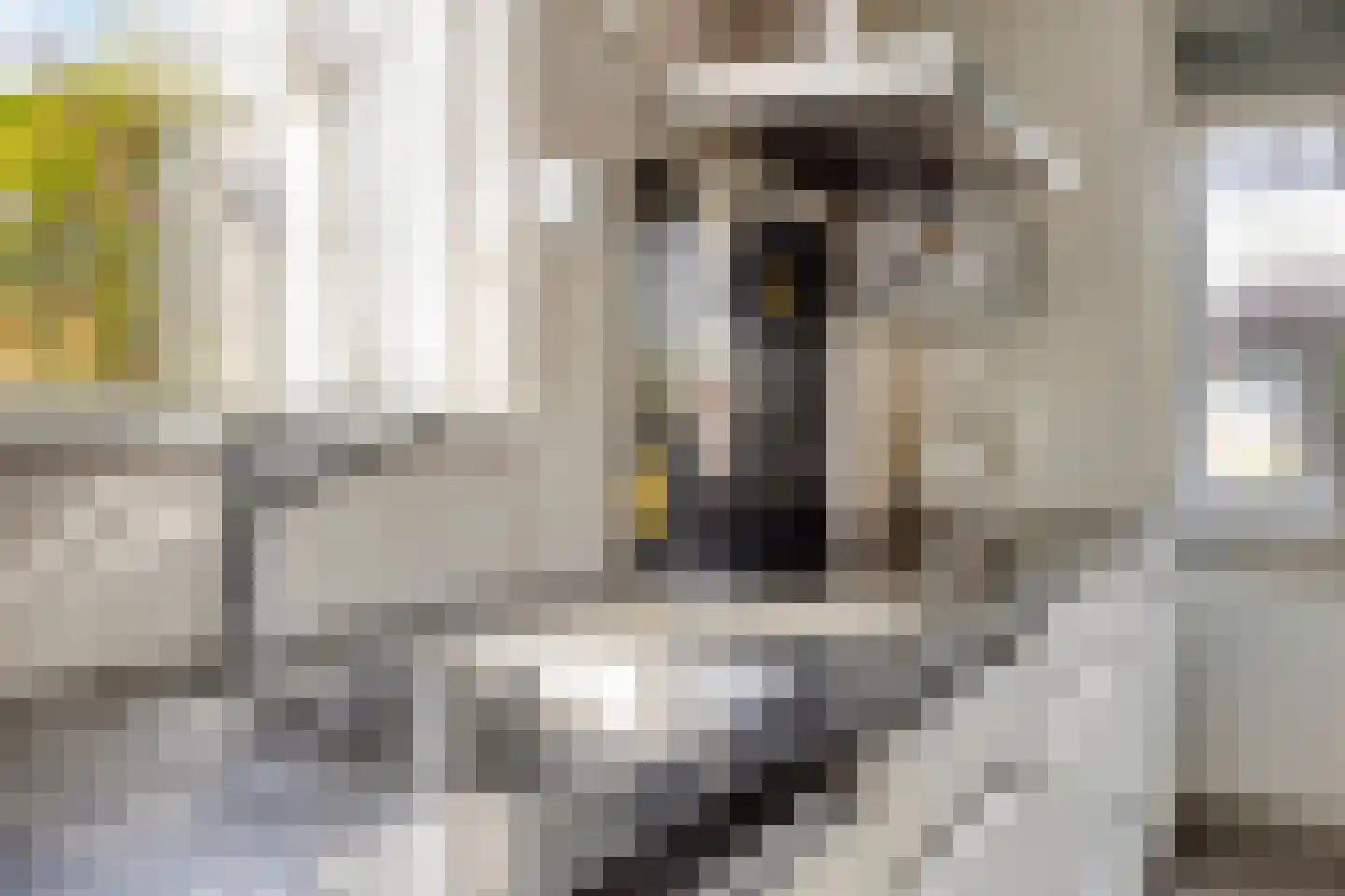 Coentjesweg 7 Oud-Vossemeer thumbnail 13