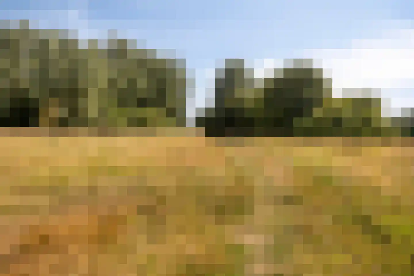 Coentjesweg 7 Oud-Vossemeer thumbnail 31
