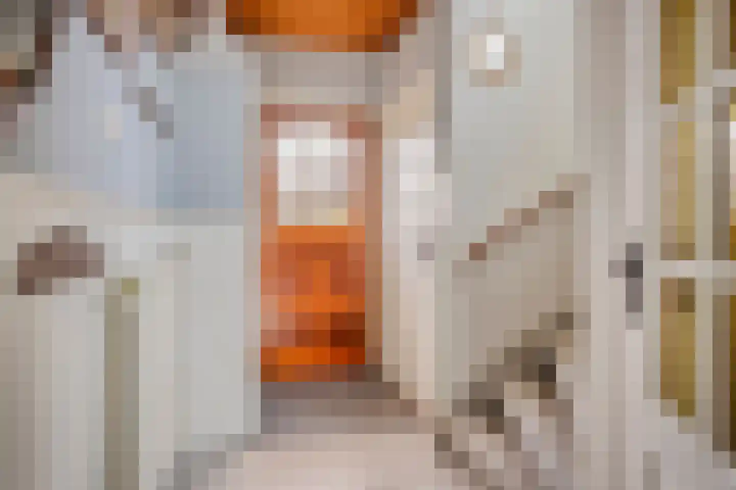 Coentjesweg 7 Oud-Vossemeer thumbnail 5