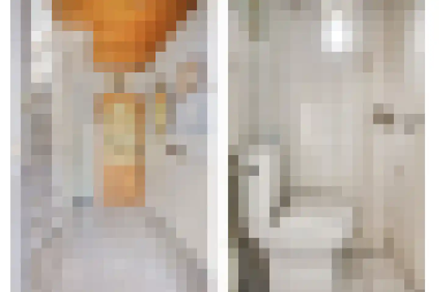 Coentjesweg 7 Oud-Vossemeer thumbnail 6