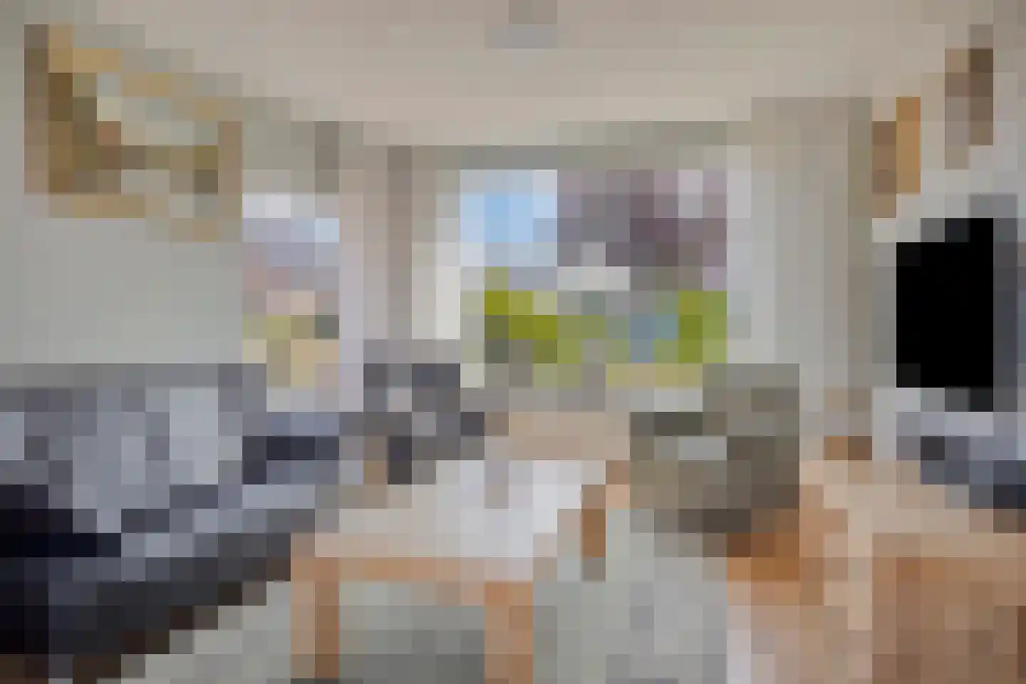 Coentjesweg 7 Oud-Vossemeer thumbnail 7