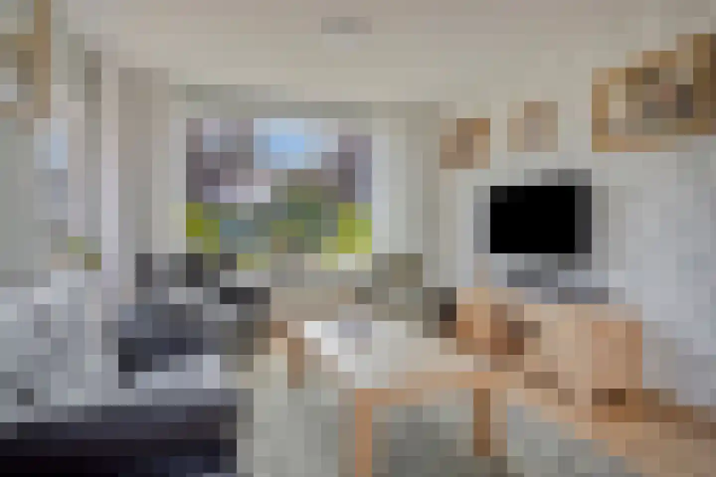 Coentjesweg 7 Oud-Vossemeer thumbnail 8