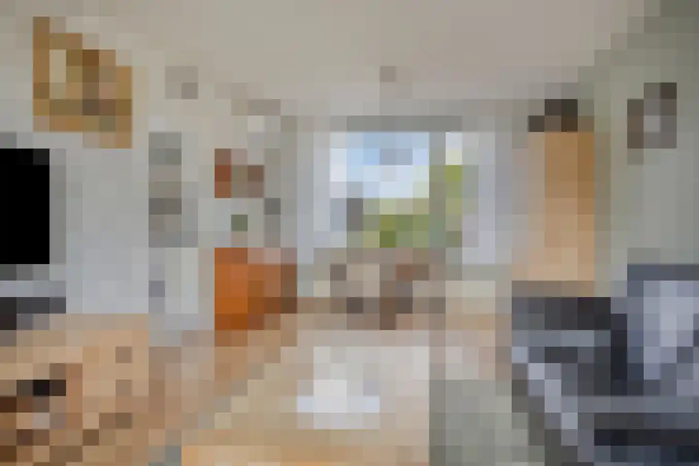Coentjesweg 7 Oud-Vossemeer thumbnail 9