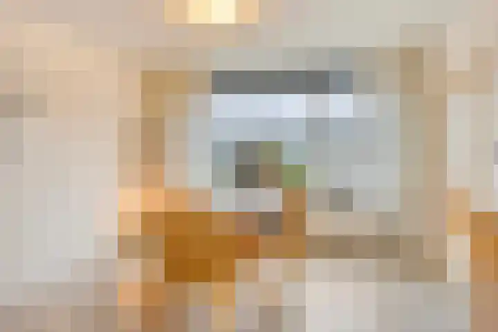 Coeshoeck 21 Emmeloord thumbnail 10