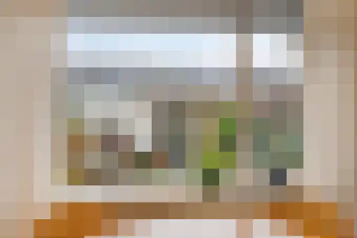 Coeshoeck 21 Emmeloord thumbnail 11