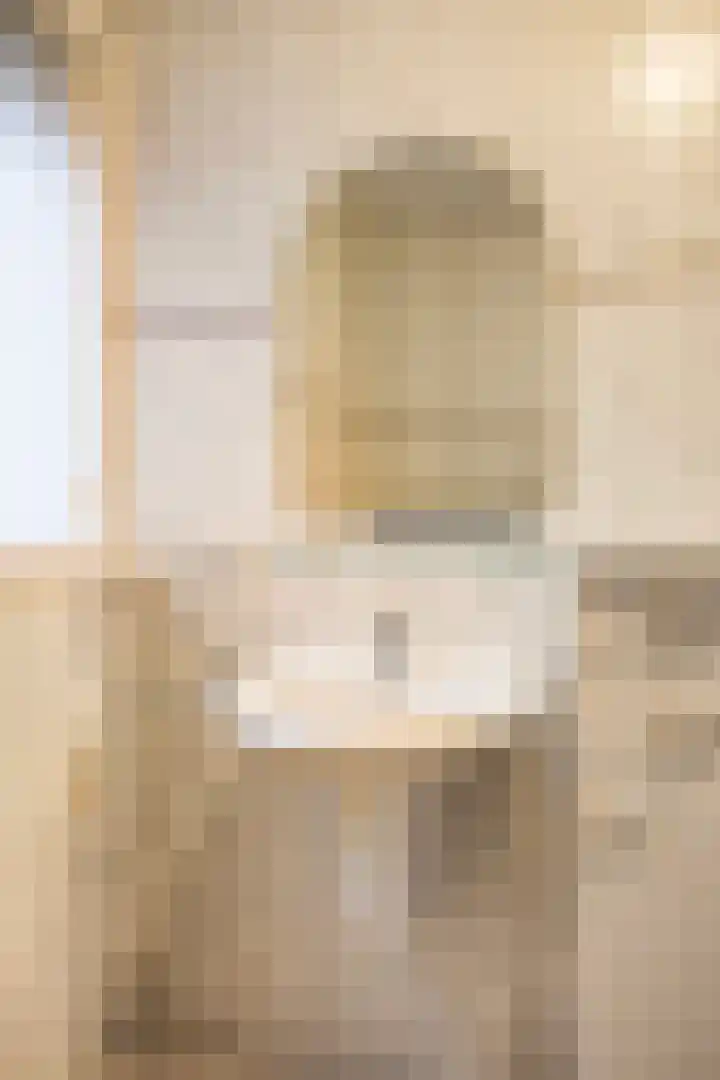 Coeshoeck 21 Emmeloord thumbnail 18