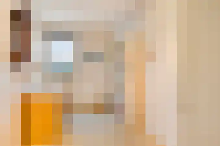 Coeshoeck 21 Emmeloord thumbnail 20