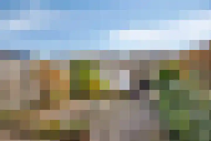 Coeshoeck 21 Emmeloord thumbnail 25