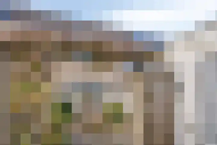 Coeshoeck 21 Emmeloord thumbnail 27