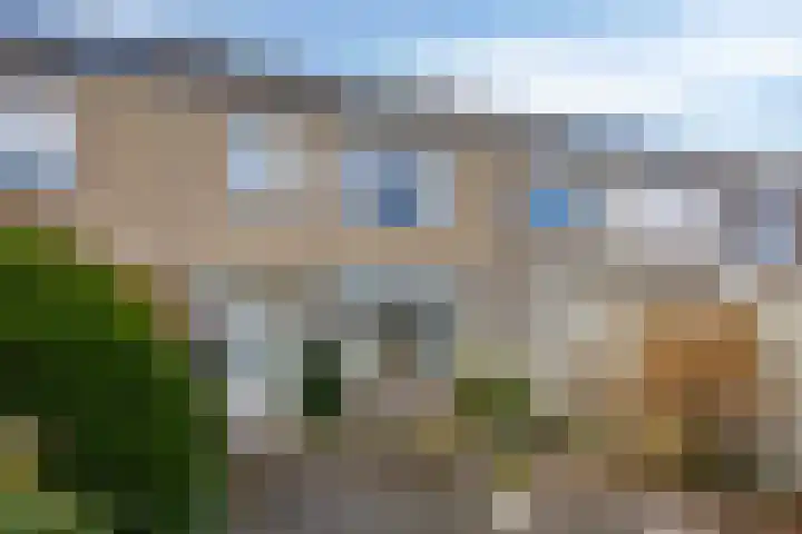 Coeshoeck 21 Emmeloord thumbnail 28
