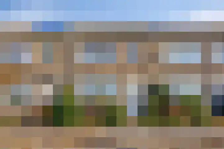 Coeshoeck 21 Emmeloord thumbnail 29