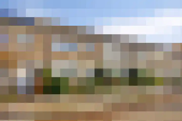 Coeshoeck 21 Emmeloord thumbnail 30